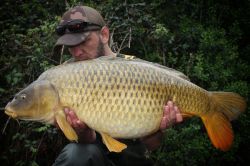 Mark Bowyer